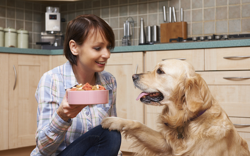 service-dietary Additional services provided by Hudson Veterinary Hospital