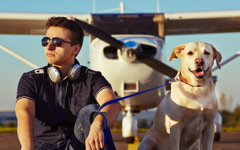 service-international-travel Additional services provided by Hudson Veterinary Hospital