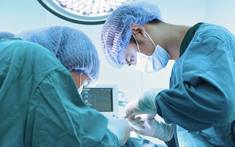 service-surgery Additional services provided by Hudson Veterinary Hospital