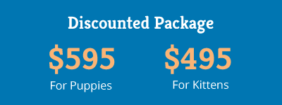 pk-discounted-package-button