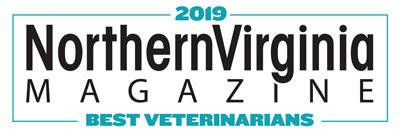 2019-best-vets