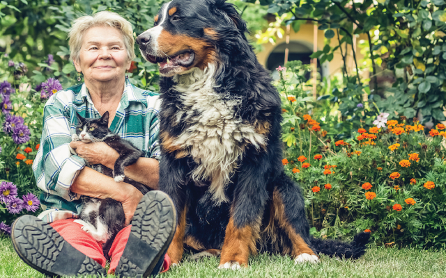 wellness-silver-whiskers-1 Elderly woman with elderly pets