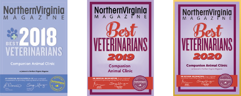 best-of-2020-companion-mobile Best Vet 2020 mobile