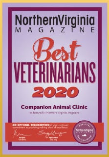 Best Vet 2020