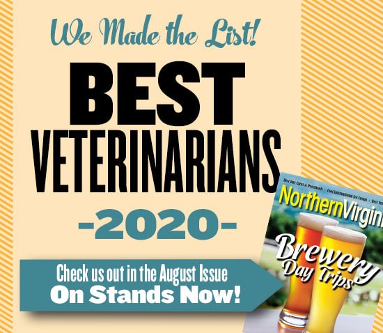 Best Vet 2020